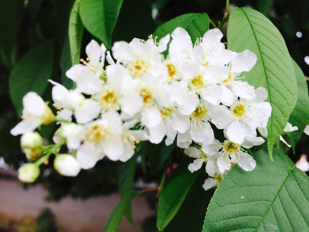 Preparati alla primavera…