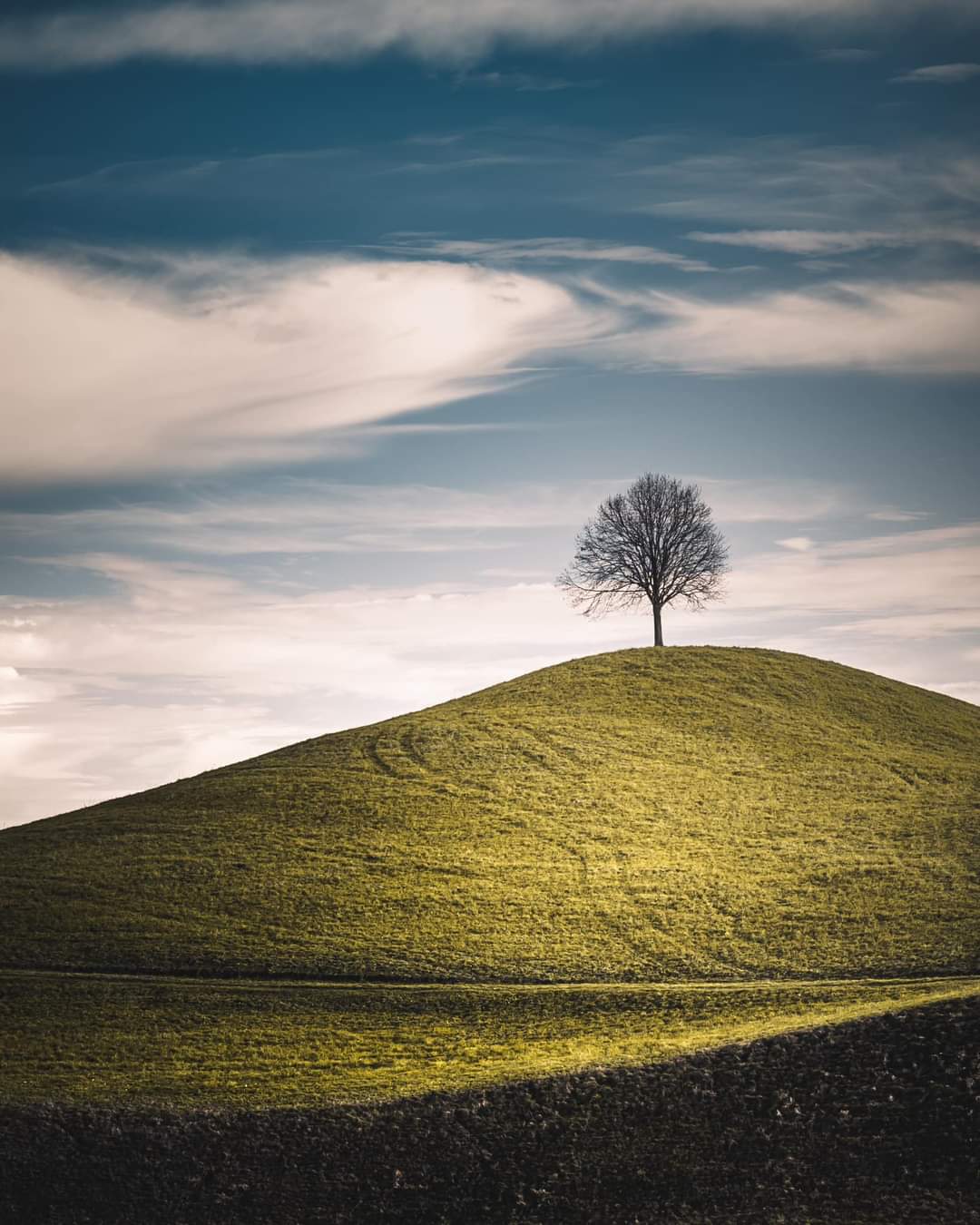 Siamo tutti più fragili