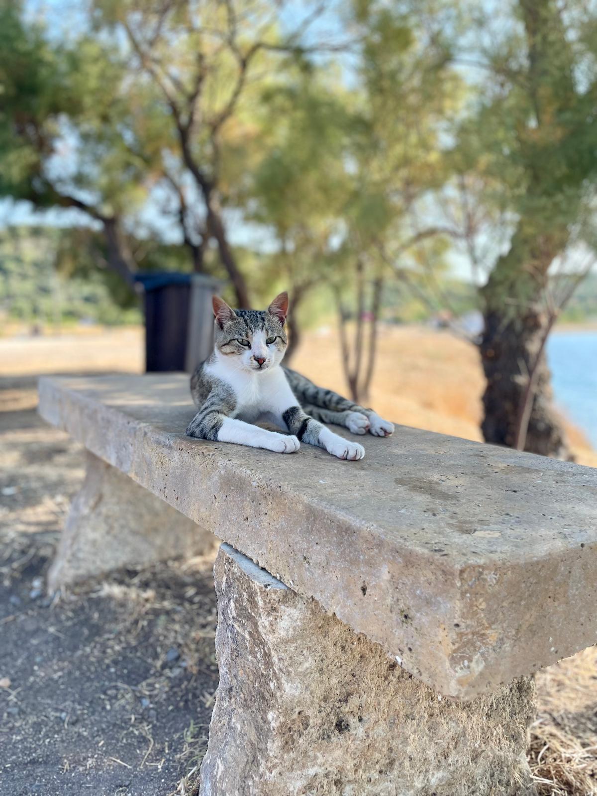 Che vacanza sarà?
