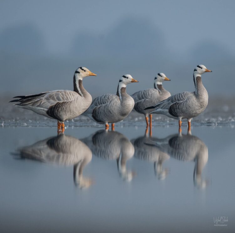 Lo stupore di essere presi sul serio